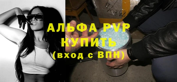 ECSTASY Богородицк