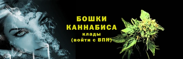 ECSTASY Богородицк
