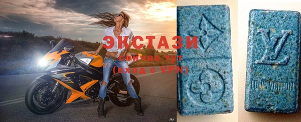 ECSTASY Богородицк