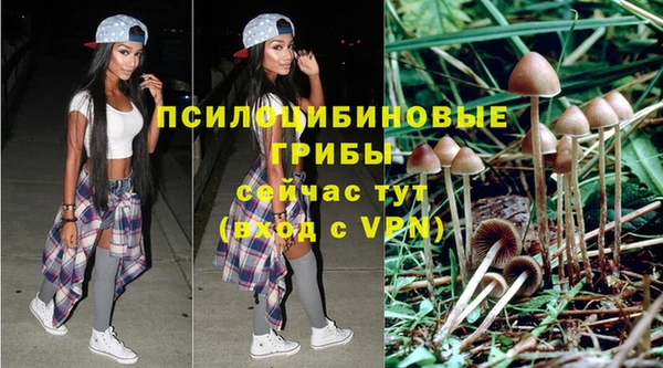 ECSTASY Богородицк