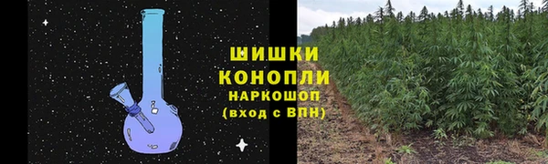 ECSTASY Богородицк